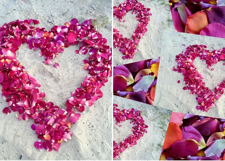 Amy & Jeff Honeymoon Petals | Flyboy Naturals Rose Petals