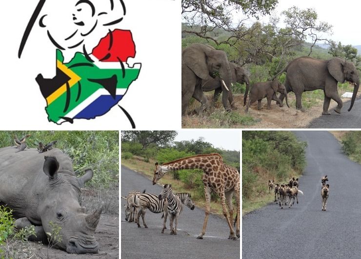 Durban safari tours