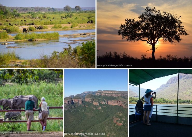 Kruger Park Experience www.pksafaris.com