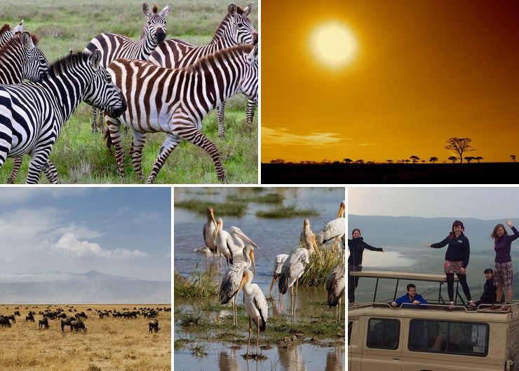 Tour, safari and holidays to Tanzania with as SAYARI TANO TOURS & SAFARIS