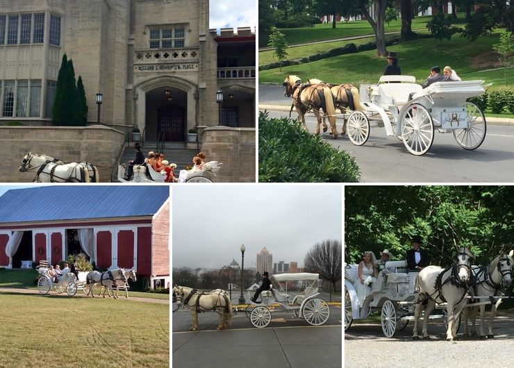 Wedding carriage pictures