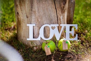 Fruit summer wedding signs