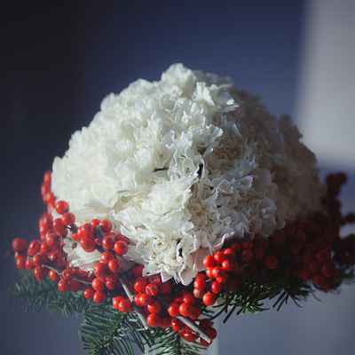 Winter red carnation wedding bouquet