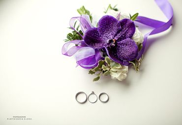 Purple buttonhole Purple buttonhole