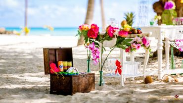 Beach pink photo session decor