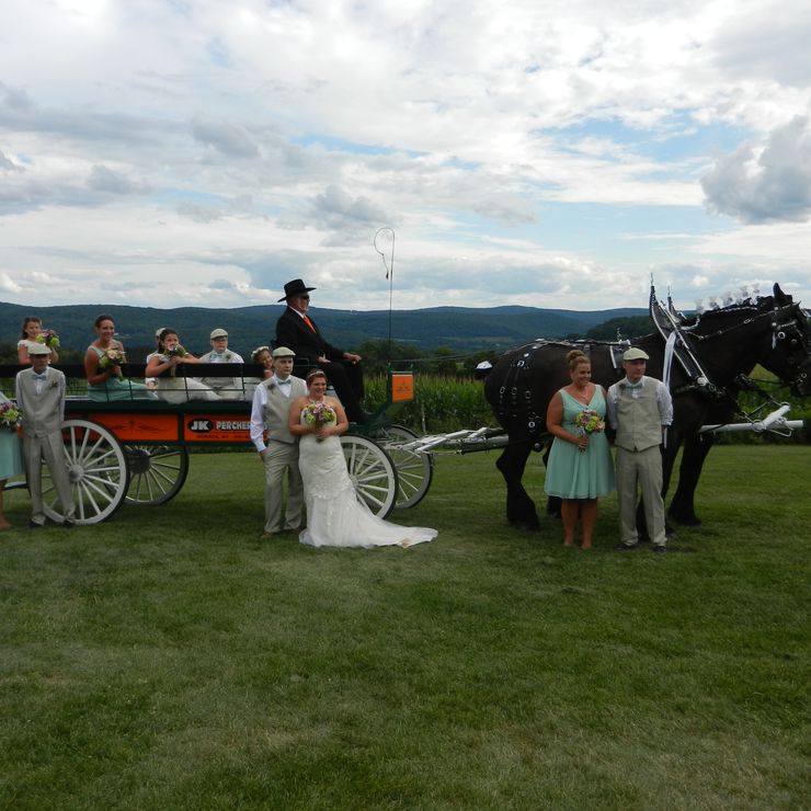 Horse Drawn Carriage for Weddings