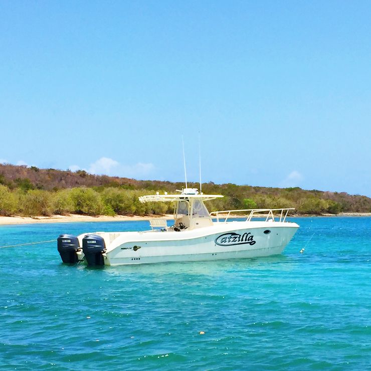 Private Day Charters in the US Virgin Islands