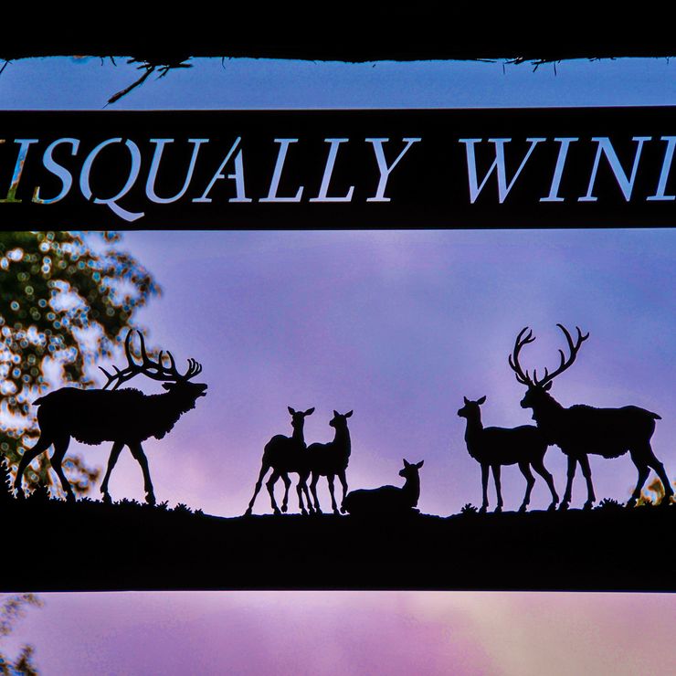 Nisqually WInds