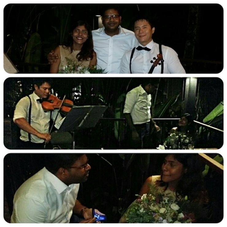 Violin for wedding proposal @Halia, Botanical Gardens