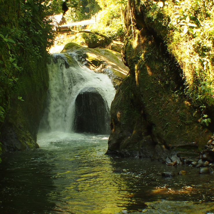 Mindo Coffee Lodge Spa