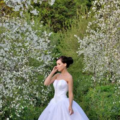 Spring corset wedding dresses